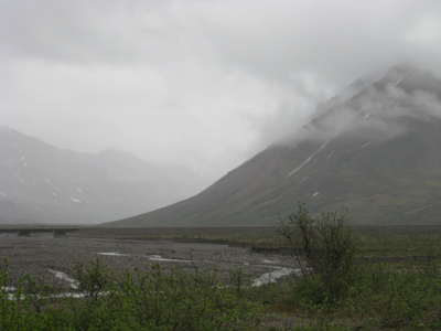 Denali National Park i hverdagsvejr